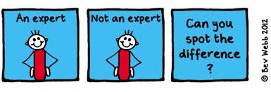 what is an expert?