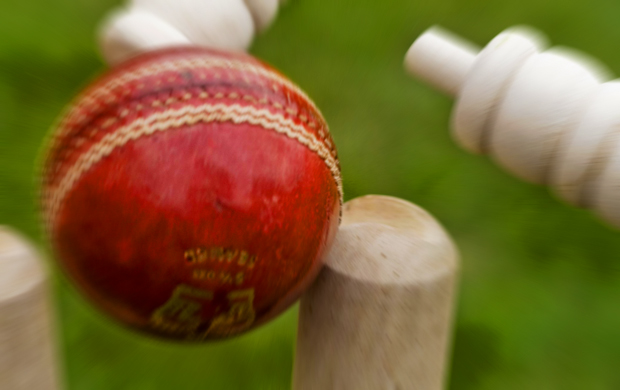 cricket ball and stumps