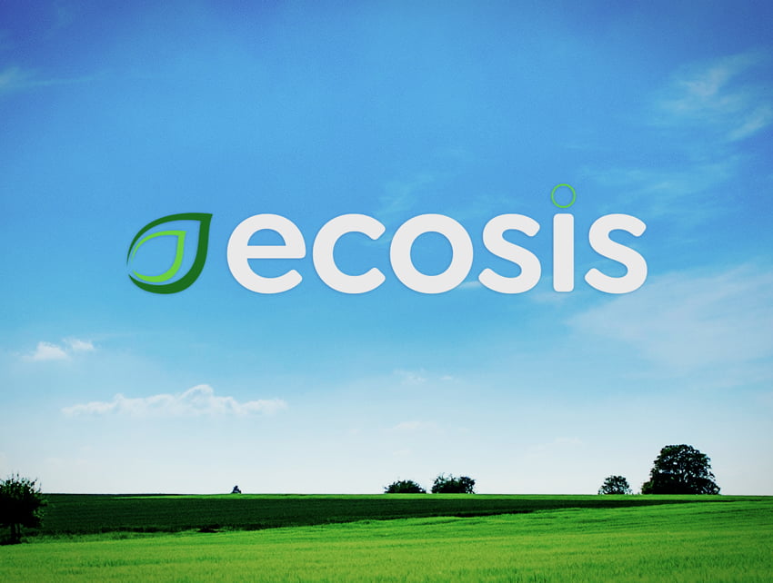 Ecosis logo and web design